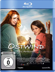 Windstorm 4 (2019) (Blu-Ray)